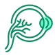 Raphacure