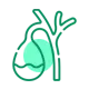 Gallstone