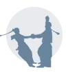 Masala Bhangra
